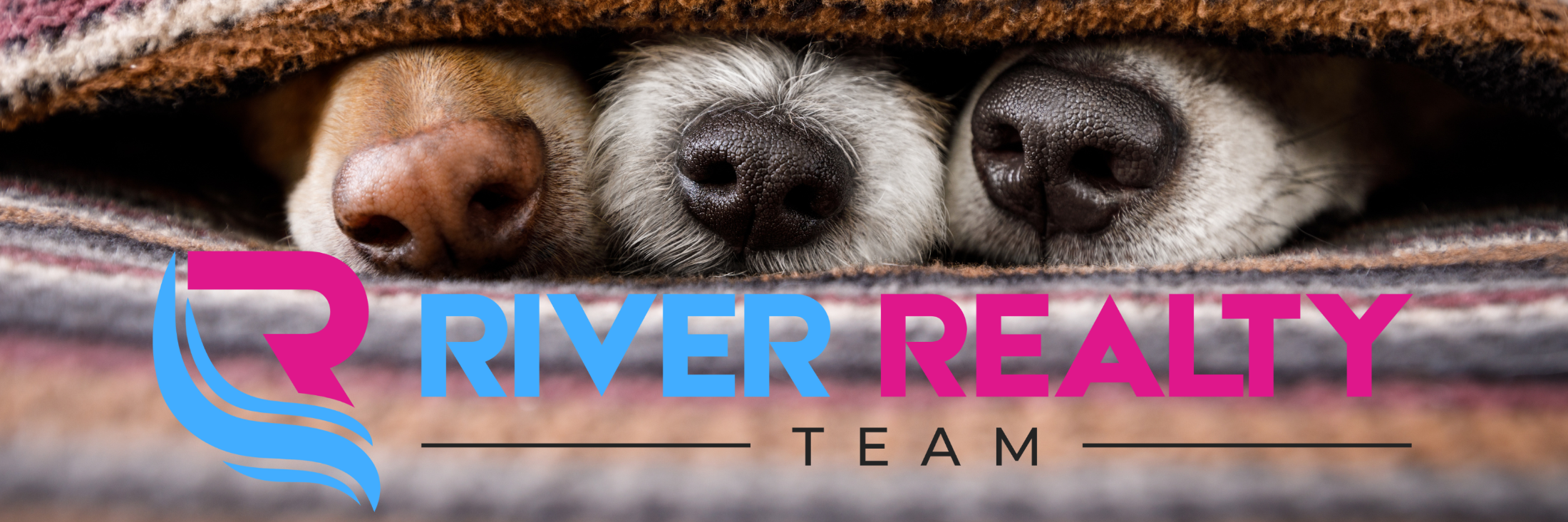 Selling Your Home in Paris, Ontario with Pets? Here’s How to Make it Work 🐾🏡