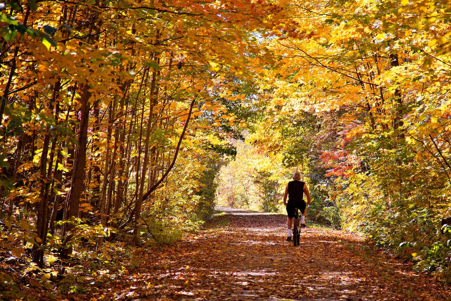 Your Ultimate Guide to Fall Fun!