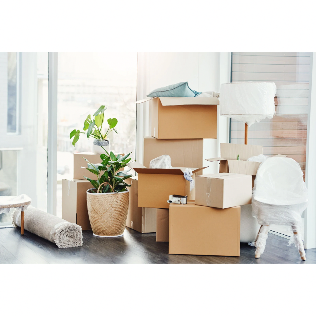 Choosing the Right Time to Move